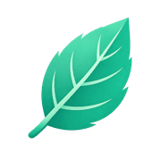 VidMint